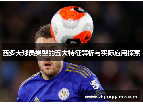 西多夫球员类型的五大特征解析与实际应用探索